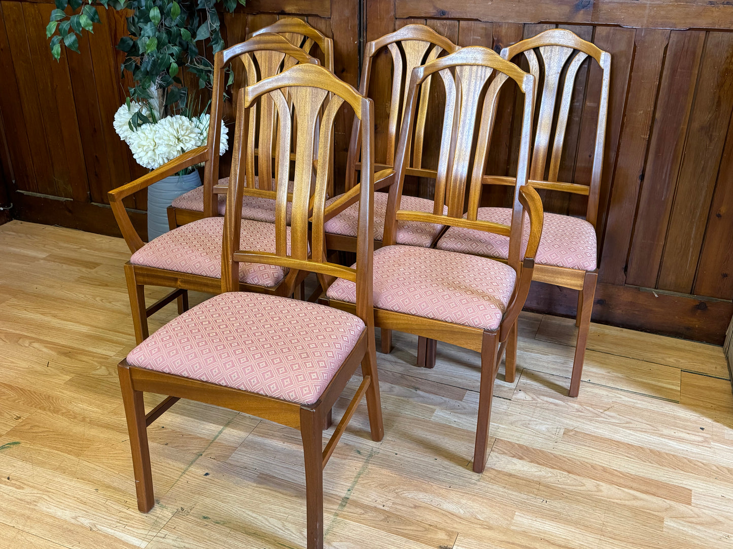 Set of 6 Teak Dining Chairs by Parker Knoll \ Vintage Mid Century Kitchen Chairs