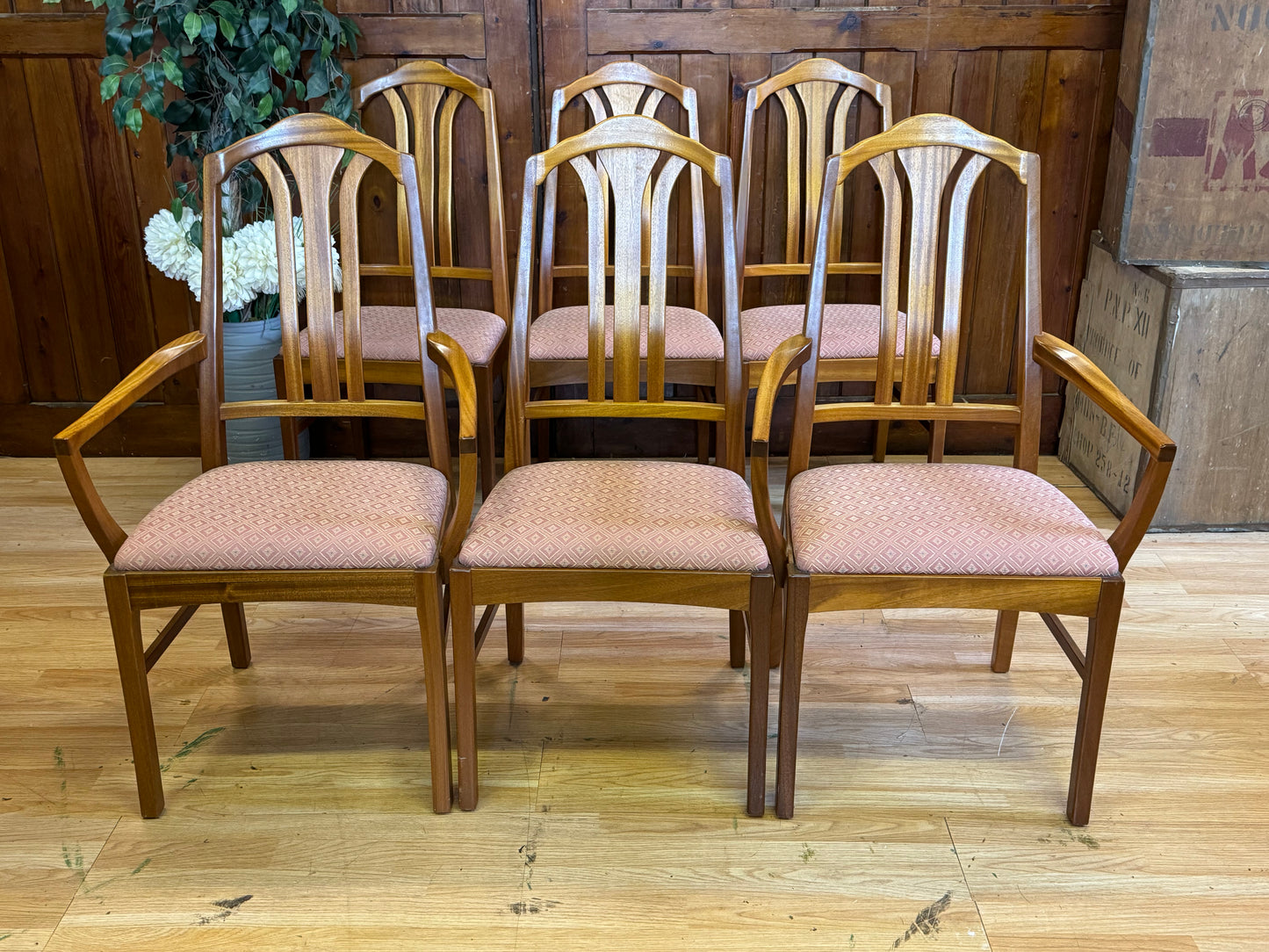 Set of 6 Teak Dining Chairs by Parker Knoll \ Vintage Mid Century Kitchen Chairs