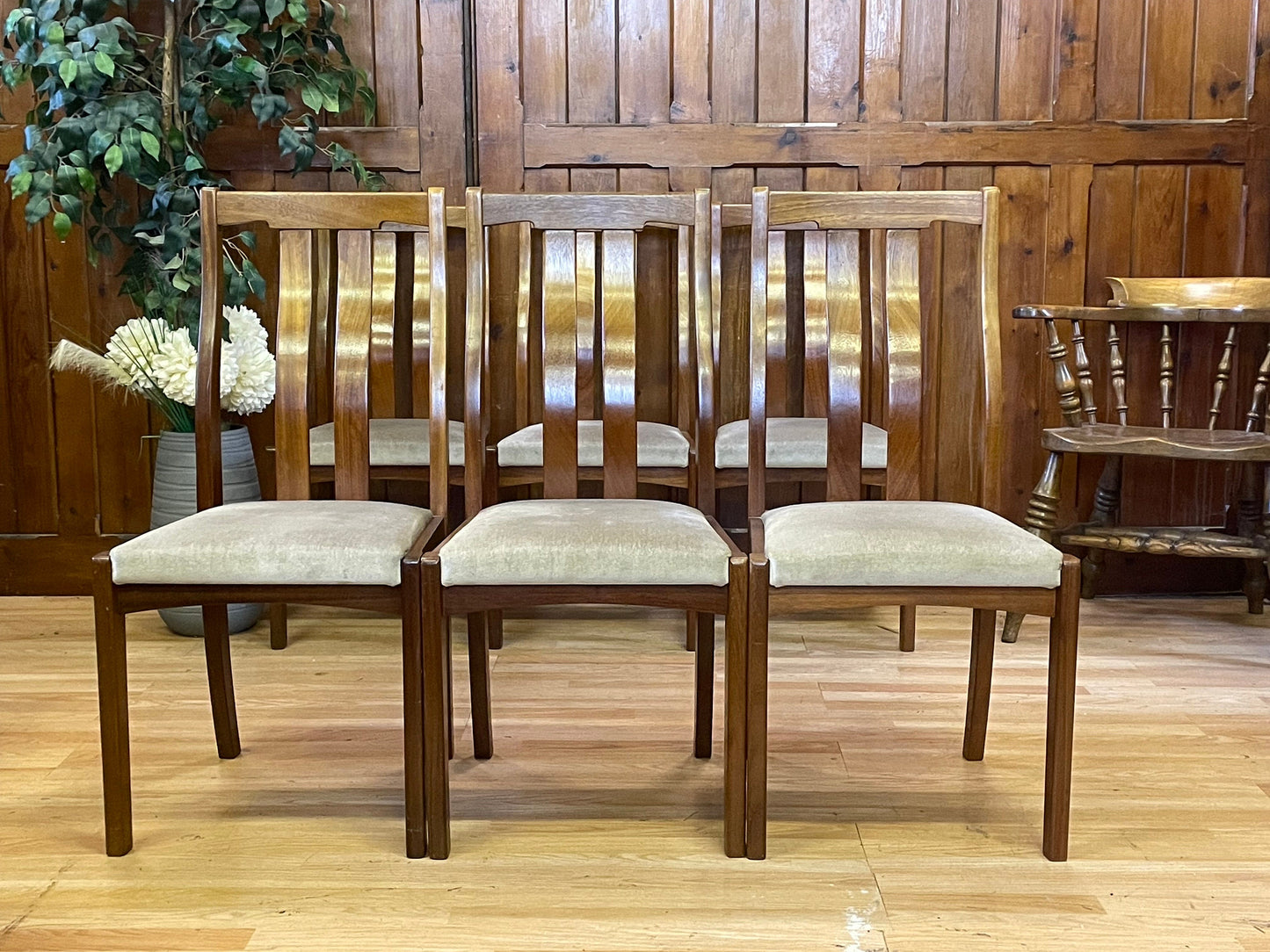 Retro Teak Dining Chairs By Meredew \ Mid Century Set of 6 Kitchen Chairs