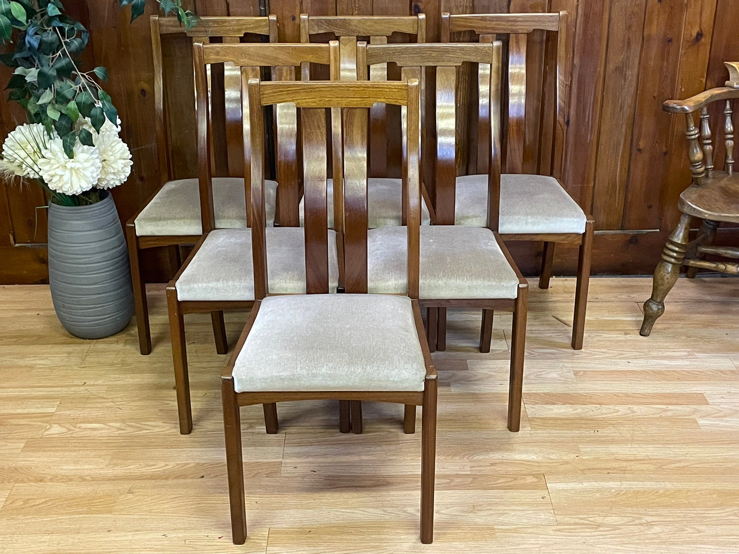 Retro Teak Dining Chairs By Meredew \ Mid Century Set of 6 Kitchen Chairs