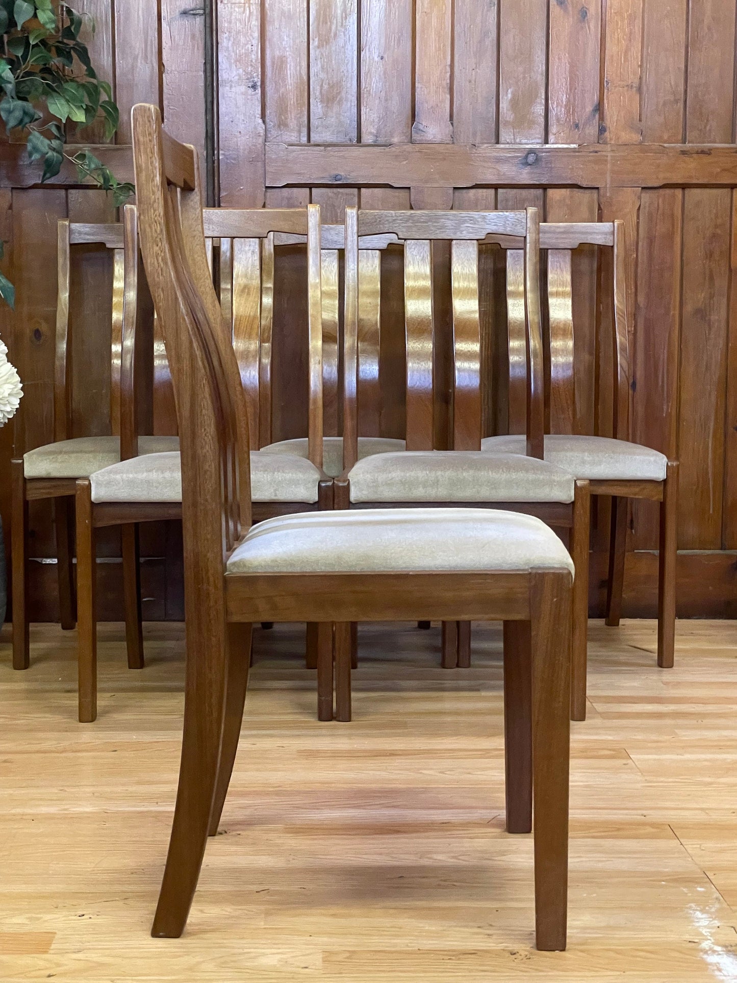 Retro Teak Dining Chairs By Meredew \ Mid Century Set of 6 Kitchen Chairs